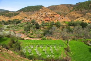 Marokko: Tagestour durch das Atlasgebirge, 3 Täler und Wasserfälle
