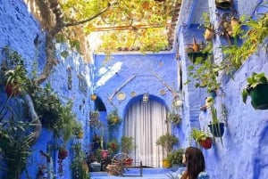 Morocco Tour From Casablanca to the Desert & Imperial Cities