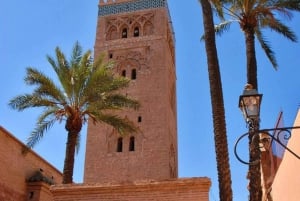 Morocco Tour From Casablanca to the Desert & Imperial Cities