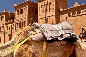 Morocco Tour from Tangier to Marrakech via Desert in 4 Days