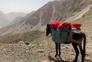 Mount Toubkal: 2-Day Mount Toubkal & Berber Villages Trek