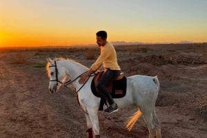 Marrakech: Tour privado a caballo por el palmeral con té