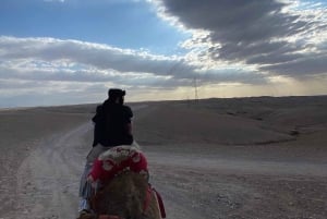 Depuis Marrakech : Quad dans le désert d'Agafay, chameaux, dîner et spectacle