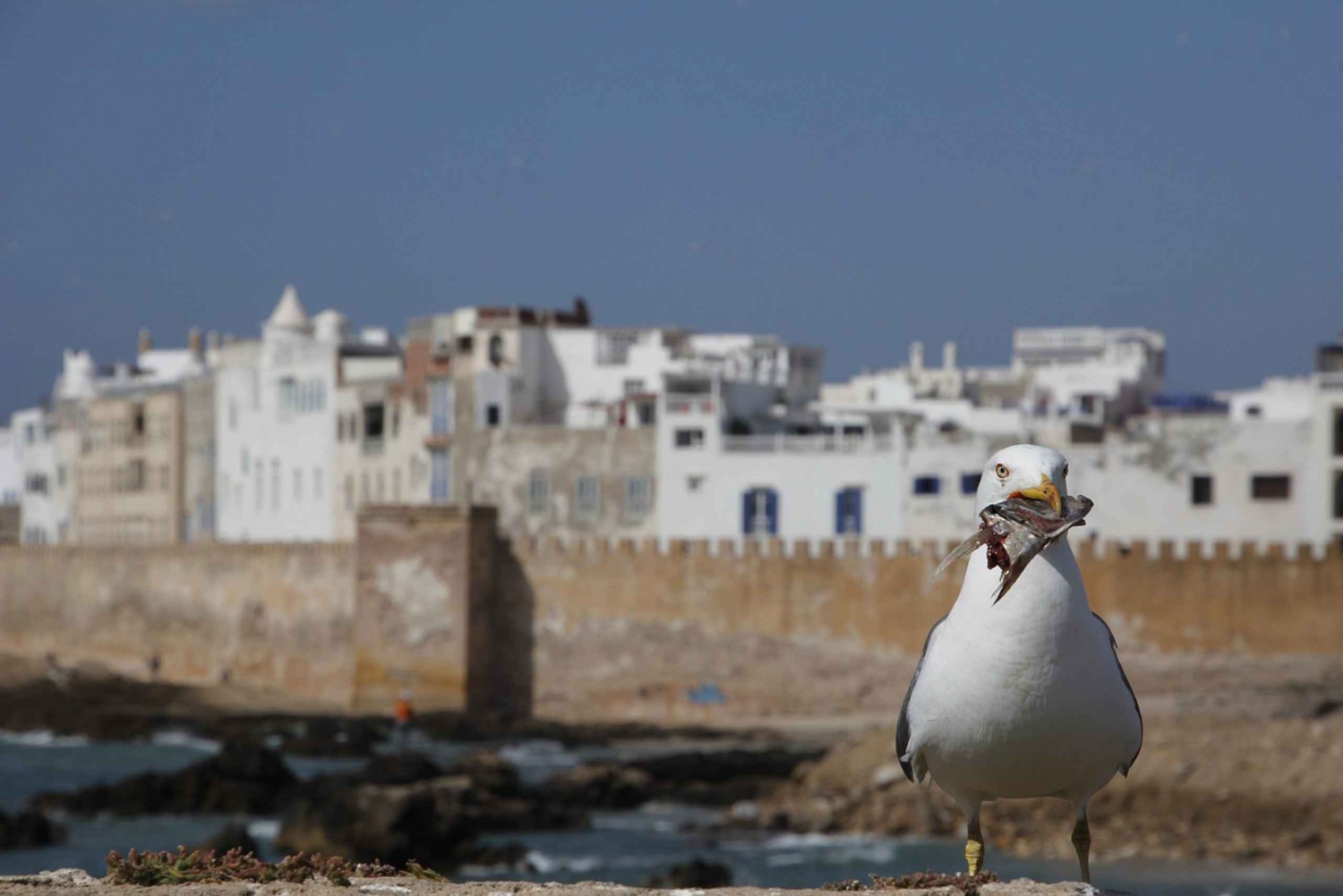 One Day Trip from Marrakech To Essaouira