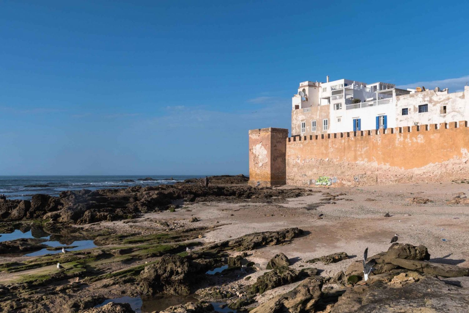 One day trip from Marrakesh to essaouira