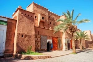 Da Marrakech: Tour di un giorno a Ouarzazate e Ait Ben Haddou