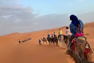 Ouarzazate to Marrakech 3-Day Desert Tour with Camel & Quad