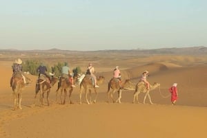 Ouarzazate to Marrakech 3-Day Desert Tour with Camel & Quad