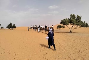 Ouarzazate to Marrakech 3-Day Desert Tour with Camel & Quad