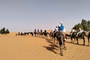 Ouarzazate to Marrakech 3-Day Desert Tour with Camel & Quad