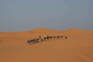 Ouarzazate to Marrakech 3-Day Desert Tour with Camel & Quad