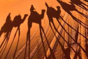 Ouarzazate to Marrakech: 3-Day Desert Tour with Camel Trek