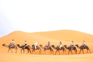 Ouarzazate til Marrakech: 3-dagers ørkentur med Camel Trek