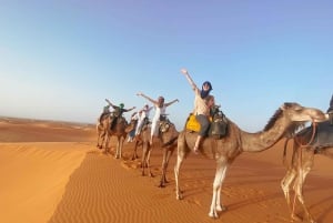 Ouarzazate til Marrakech: 3-dagers ørkentur med Camel Trek