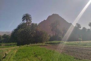 Von Ouarzazate nach Marrakech: 3-tägige Merzouga-Wüstentour