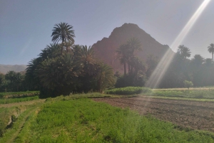 От Уарзазата до Марракеша: 3-дневный тур по пустыне Мерзуга