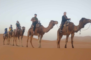 От Уарзазата до Марракеша: 3-дневный тур по пустыне Мерзуга