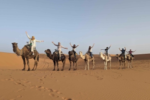 От Уарзазата до Марракеша: 3-дневный тур по пустыне Мерзуга