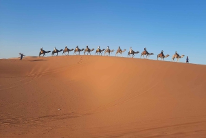 От Уарзазата до Марракеша: 3-дневный тур по пустыне Мерзуга