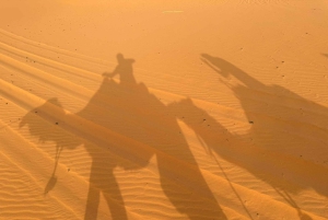 От Уарзазата до Марракеша: 3-дневный тур по пустыне Мерзуга