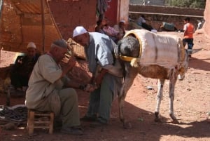 Ouirgan Berberdörfer & Salzmine Tagestour ab Marrakesch