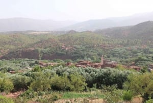 Ouirgan Berberdörfer & Salzmine Tagestour ab Marrakesch