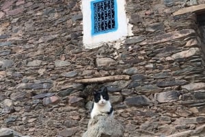 Ouirgan Berberdörfer & Salzmine Tagestour ab Marrakesch