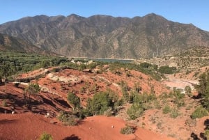 Ouirgan Berberdörfer & Salzmine Tagestour ab Marrakesch