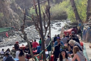 Private Tour durch die drei Täler von Marrakesch, Wasserfälle und Berge