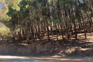 Private Tour durch die drei Täler von Marrakesch, Wasserfälle und Berge