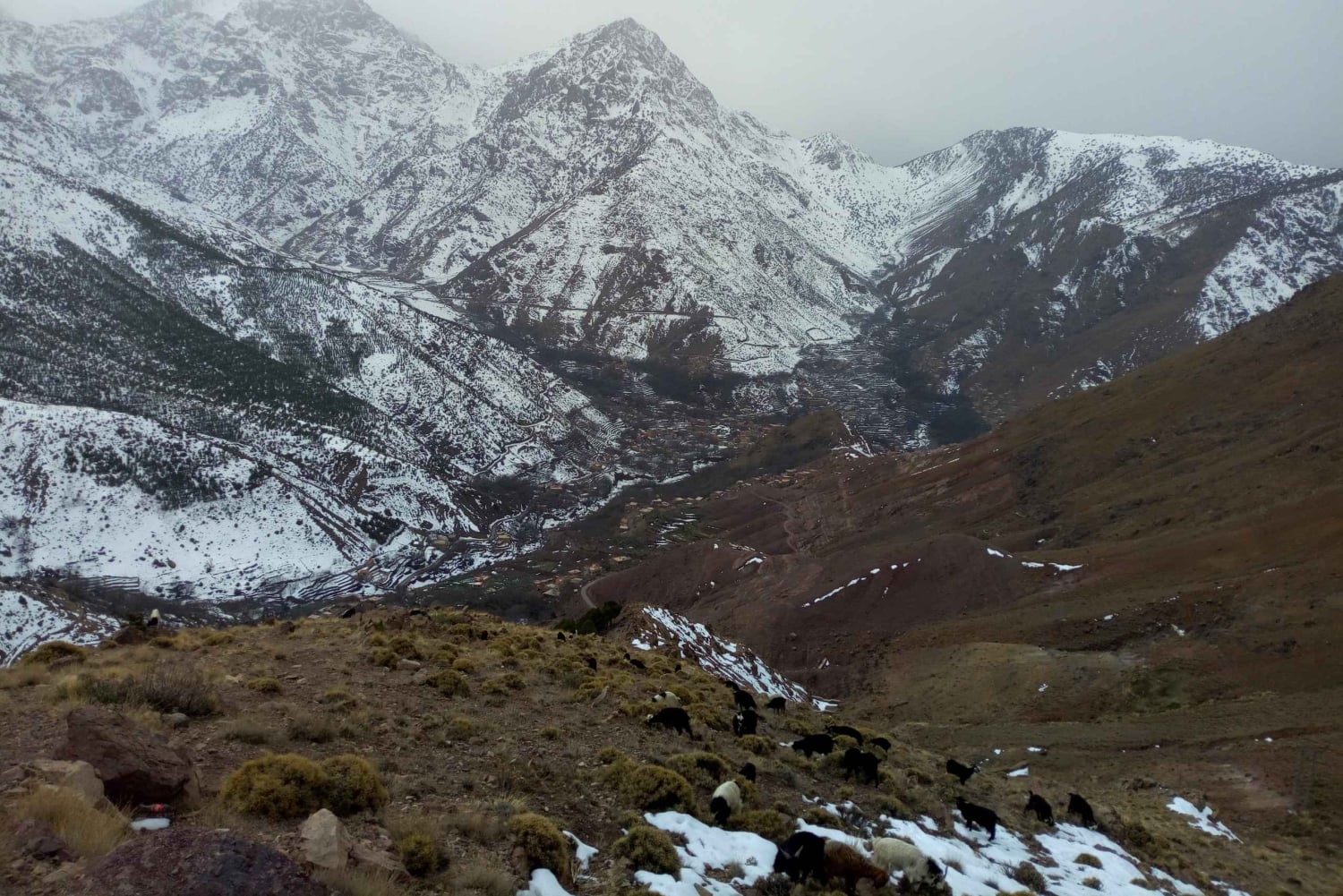 Excursión de un día al valle de Ourika y al río Oulmes con camellos incluidos.