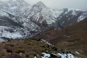 Excursión de un día al valle de Ourika y al río Oulmes con camellos incluidos.