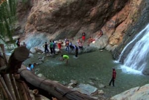 Genieße das Ourika-Tal und die Wasserfälle mit einem geführten Rundgang