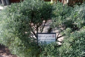 Marrakech : Excursion d'une journée dans la vallée de l'Ourika et les cascades avec guide