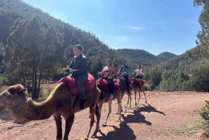 Marrakech: Ourika-dalen, Atlasbjerget, vandfald og guide