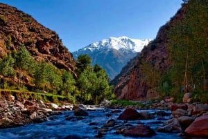 From Marrakech: Ourika Valley & Atlas Mountains Day Tour