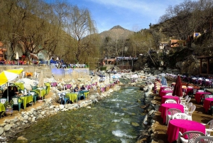 Ourika Valley & Atlas Mountains Full-Day Tour & Lunch