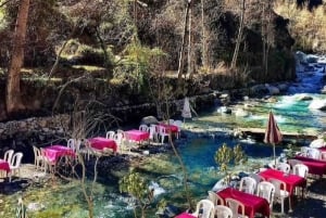 Valle dell'Ourika, montagne dell'Atlante, cascate e tour guidato