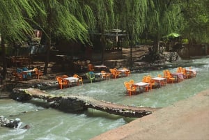 Valle dell'Ourika, montagne dell'Atlante, cascate e tour guidato