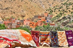 Valle dell'Ourika, montagne dell'Atlante, cascate e tour guidato