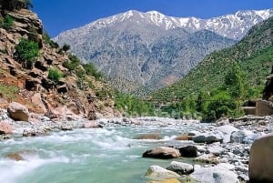 Valle dell'Ourika, montagne dell'Atlante, cascate e tour guidato