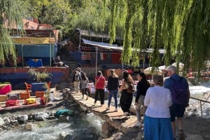 Dagsudflugt til Ourika-dalen fra Marrakech med guide og frokost