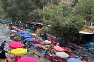 Dagsudflugt til Ourika-dalen fra Marrakech med guide og frokost