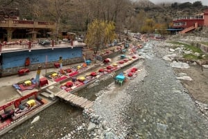 Dagsudflugt til Ourika-dalen fra Marrakech med guide og frokost