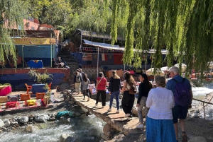 Tagestour ins Ourika-Tal von Marrakesch aus mit Guide und Mittagessen