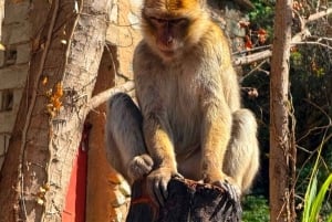 Dagsutflykt till Ourikadalen: Vandring, vattenfall, lunch och avkoppling