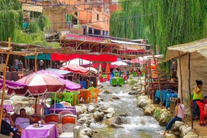 Dagsutflykt till Ourikadalen med lokal guide