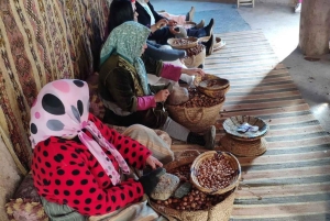 Dagsutflykt till Ourikadalen med lokal guide