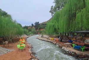 Dagsutflykt till Ourikadalen med lokal guide