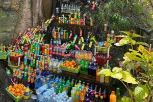 Dagsutflykt till Ourikadalen med lokal guide